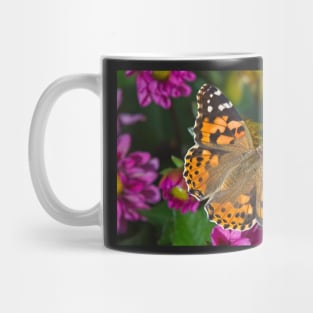 Painted Lady Butterfly (Vanessa cardui) Mug